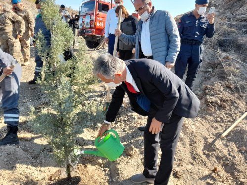 11-kasim-milli-agaclandirma-gunu-dolayisiyla-focada-fidanlar-toprakla-bulusturuldu-(1).jpg