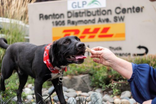 2019_dhl_seattle-453.jpg