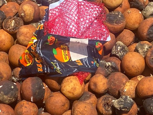 Hangi firma Kocaçay rekreasyon alanını çöplüğe çevirdi?