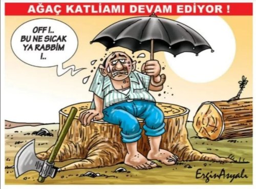 yayinlanmis-basin-karikatur-odulu-ergin-asyali.jpg