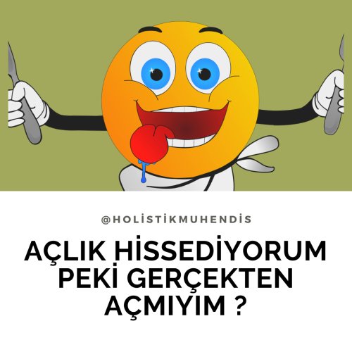 aclik-hissediyorum-peki-gercekten-acmiyim.png