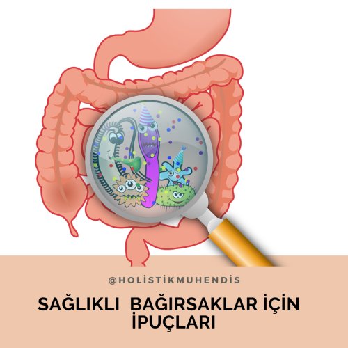 saglikli-bagirsaklar-icin-ipuclari.png