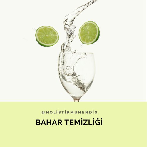 bahar-temizligi.png