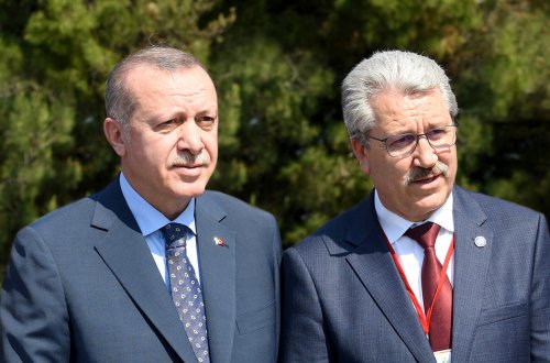 cumhurbaskani-recep-tayyip-erdogan-prof-dr-necdet-budak.jpg