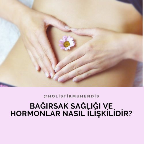 bagirsak-sagligi-ve-hormonlar-nasil-iliskilidir.png
