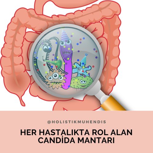 her-hastalikta-rol-alan-candida-mantari.png
