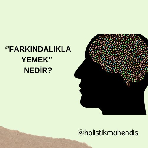 holistikmuhendis-4.png