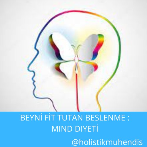 mind-diyeti.png