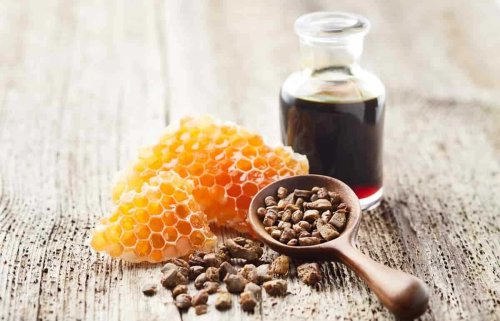 propolis-nedir-faydalari-nelerdir.jpg