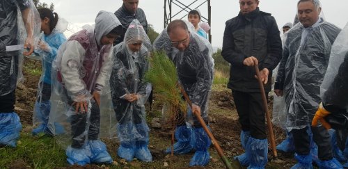 focada-orman-haftasi-kutlama-ve-fidan-dikim-etkinligi-1.jpg
