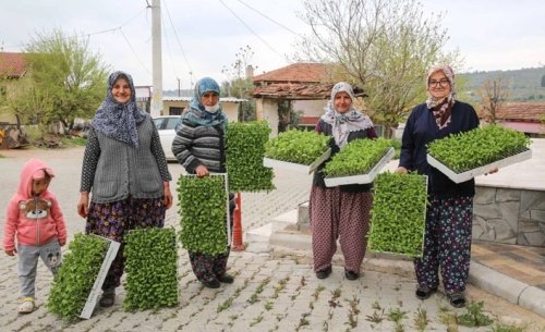 buca-belediyesinden-ureticiye-100-bin-sebze-fidesi-h119310-f0aea.webp