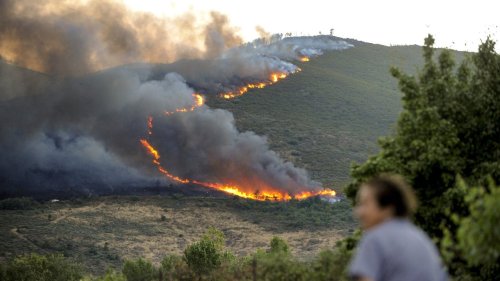 in-wildfire-spain.jpg