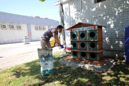 bayrakli-da-can-dostlar-icin-bir-kap-su-kampa-16131980-amp.jpg