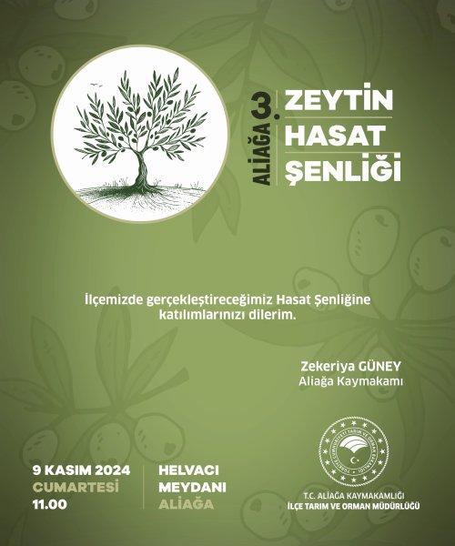 2-aliaga-3-zeytin-hasat-senliginde-bulusuyor.jpg