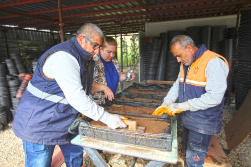 karabaglar-belediyesi-tohumlara-hayat-veriyor-3.jpeg