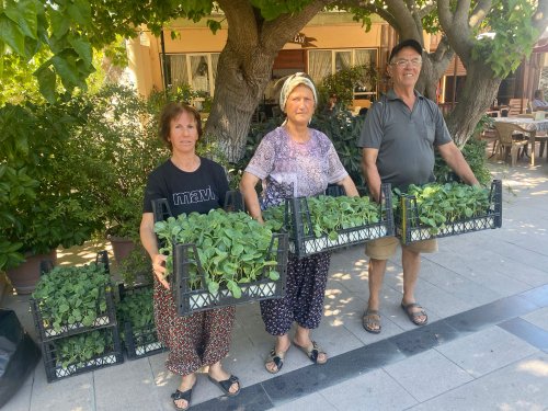 urla-belediyesinden-ureticiye-50-bin-adet-sebze-fidesi-1.jpg