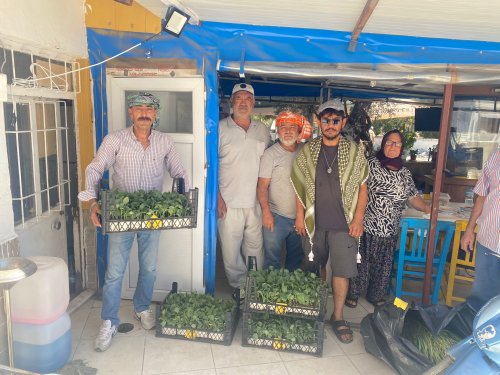 urla-belediyesinden-ureticiye-50-bin-adet-sebze-fidesi-2.jpg
