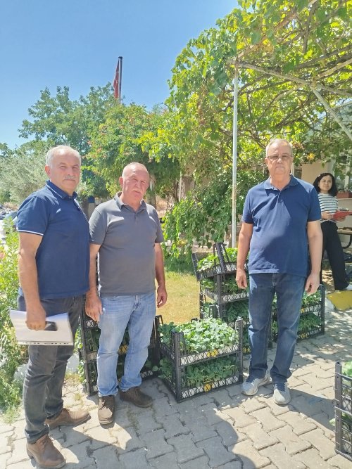 urla-belediyesinden-ureticiye-50-bin-adet-sebze-fidesi-3.jpg