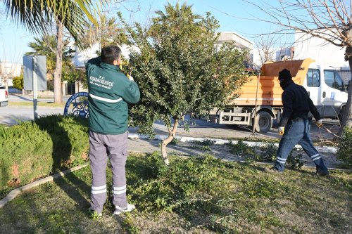 kusadasi-belediyesi-park-ve-bahceler-yenileme-3.jpg