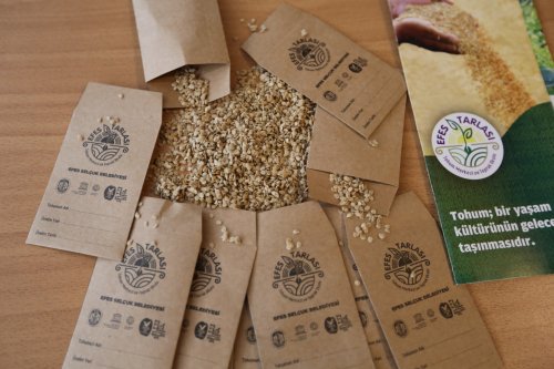yerel-tohumlar-2.jpeg
