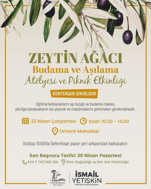 zeytin-agaclarinin-gizemini-kesfetmeye-budama-ve-asilama-tekniklerini-uygulamali-olarak-ogrenme.jpg