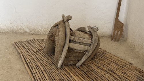 aw697643-03.jpg
