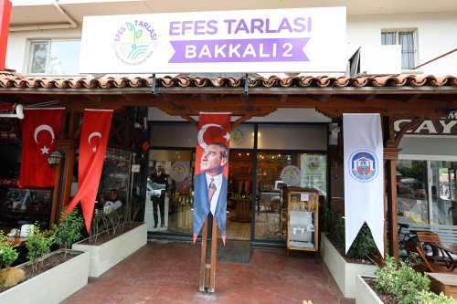 efes-tarlasi-bakkali-2-1.jpeg