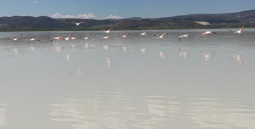 aw702782-02.jpg