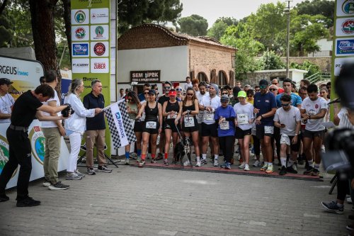 efeler-yolu-ultra-trail-1.jpeg