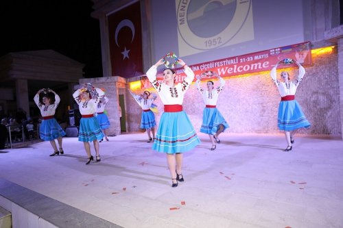 fest-5.jpg
