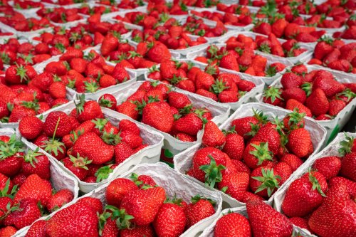 1779456788-adobestock-313222642-1.jpeg