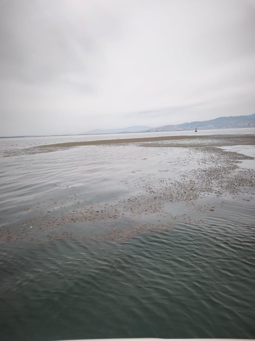 whatsapp-image-2026-05-20-at-14-25-17.jpeg