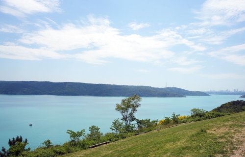 aw717095-05-001.jpg