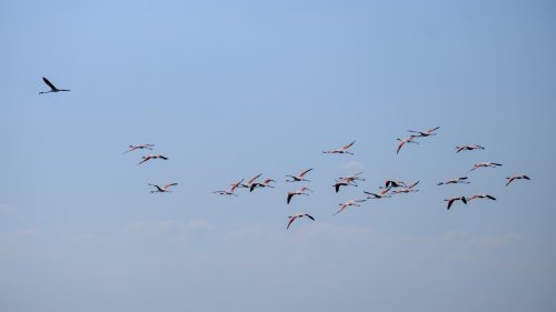 aw721477-11.jpg