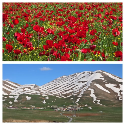 aw722941-01.jpg