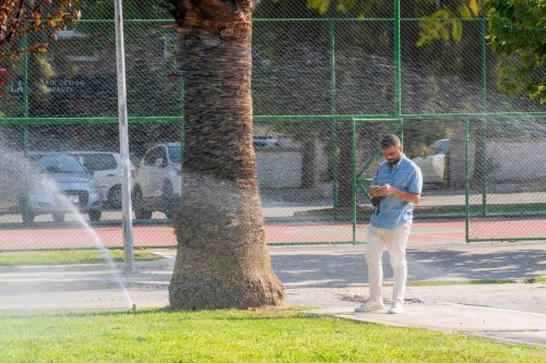 12-06-2026-d24bf542-ca67-4708-9234-26033d831eea.jpg