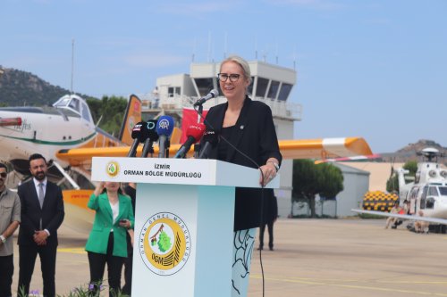 aw724802-06.jpg