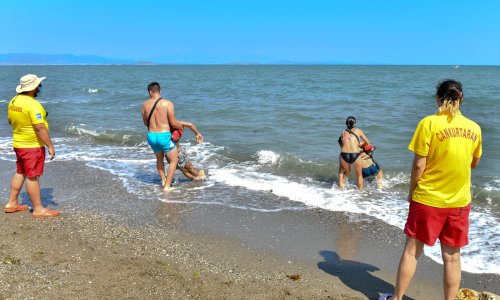 15-06-2026-854c8ceb-3c94-47a7-8de7-8d486d8566a8.jpg