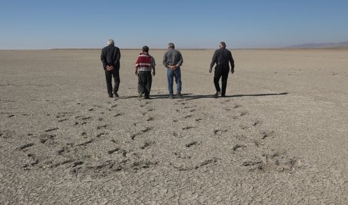aw733459-05.jpg