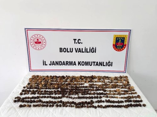 aw733580-06.jpg