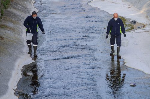 27-06-2026-578e44b0-f554-43d0-b99f-ce447085bb4e.jpg