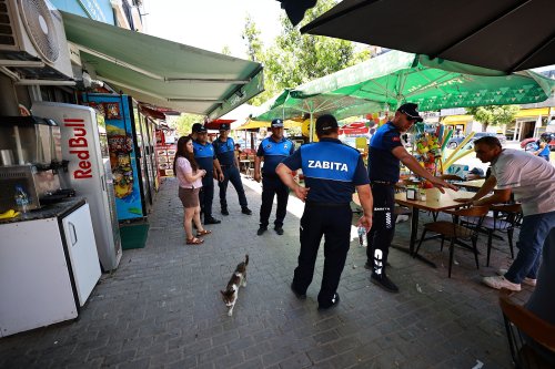 zabita-kaldirim-denetim-1.jpeg