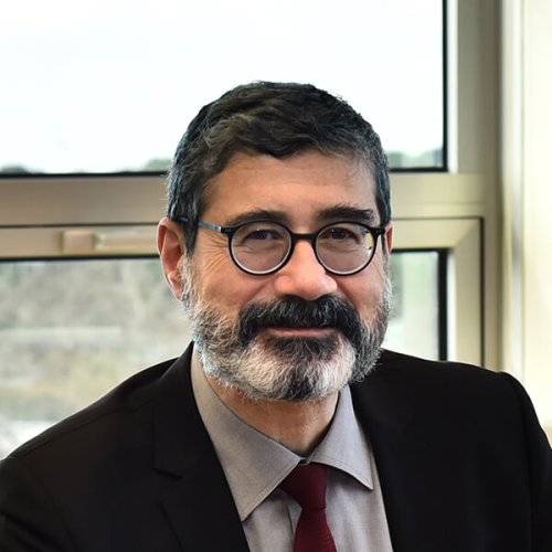 prof-dr-yusuf-leblebici.jpg