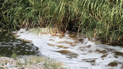 whatsapp-image-2026-07-27-at-17-27-04-2.jpeg