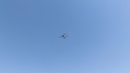 29-07-2026-08131767-a31a-4ff8-868e-27534d00f877.jpg