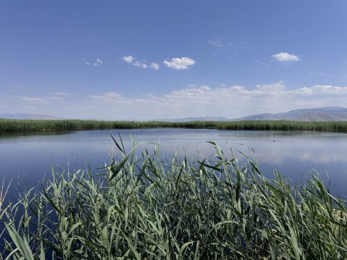 aw758012-13-001.jpg