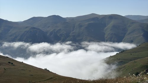 aw760229-06.jpg