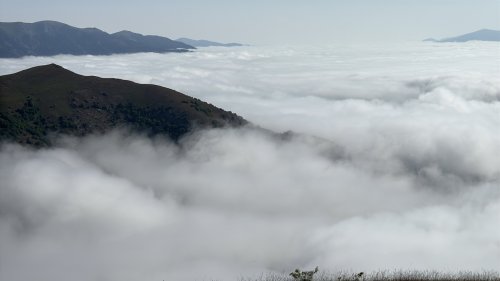 aw760229-09.jpg