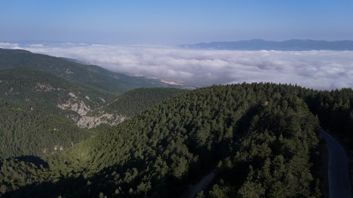 aw764348-04.jpg