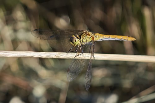 aw765246-03.jpg
